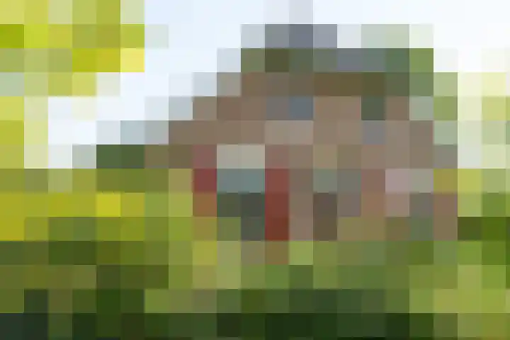 Miltseweg 3 Gendringen thumbnail 74
