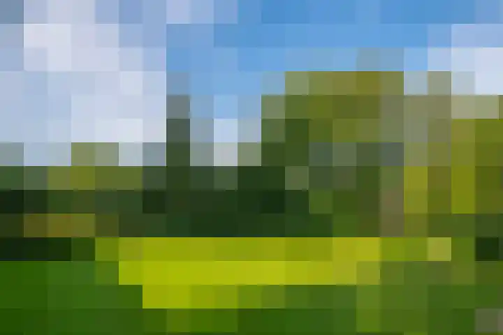 Miltseweg 3 Gendringen thumbnail 75