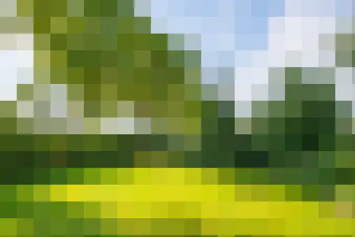 Miltseweg 3 Gendringen thumbnail 76