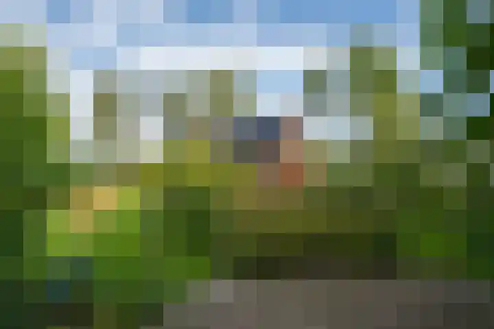 Miltseweg 3 Gendringen thumbnail 78