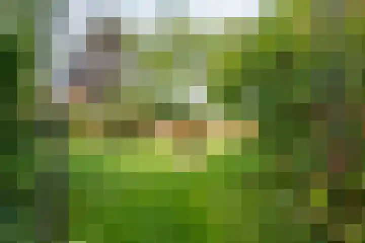 Miltseweg 3 Gendringen thumbnail 79
