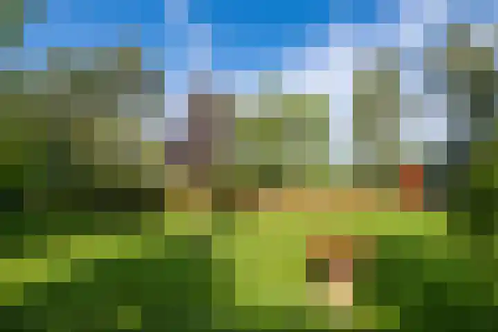 Miltseweg 3 Gendringen thumbnail 80