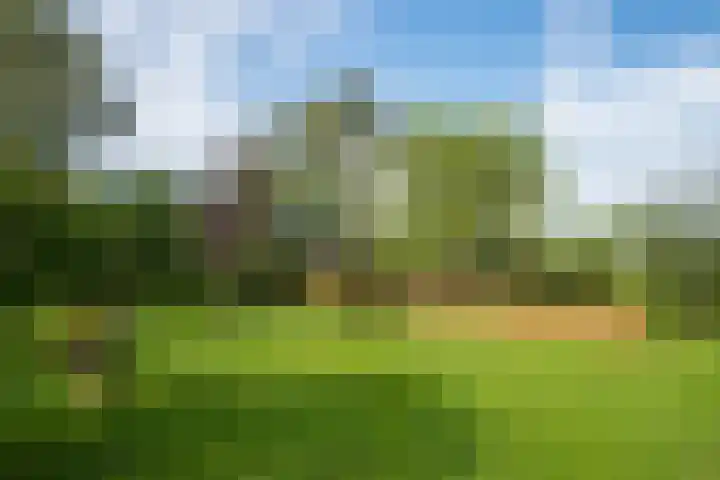 Miltseweg 3 Gendringen thumbnail 81