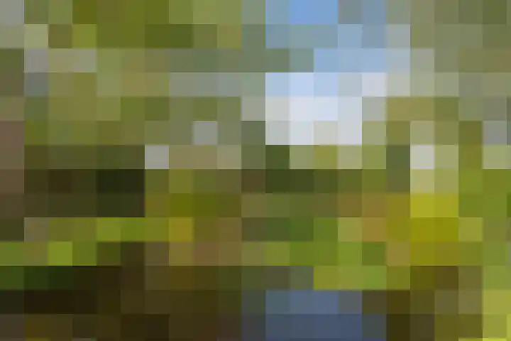 Miltseweg 3 Gendringen thumbnail 82