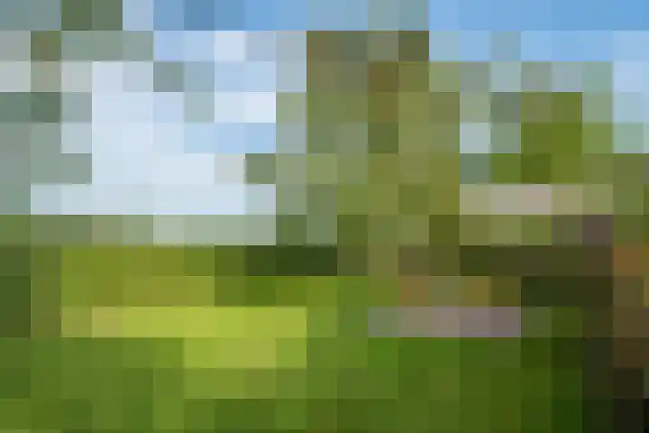 Miltseweg 3 Gendringen thumbnail 83