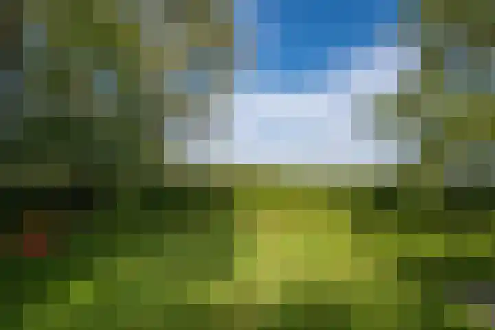 Miltseweg 3 Gendringen thumbnail 84