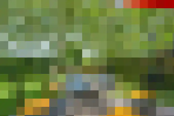 Miltseweg 3 Gendringen thumbnail 85