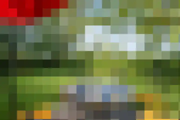 Miltseweg 3 Gendringen thumbnail 86