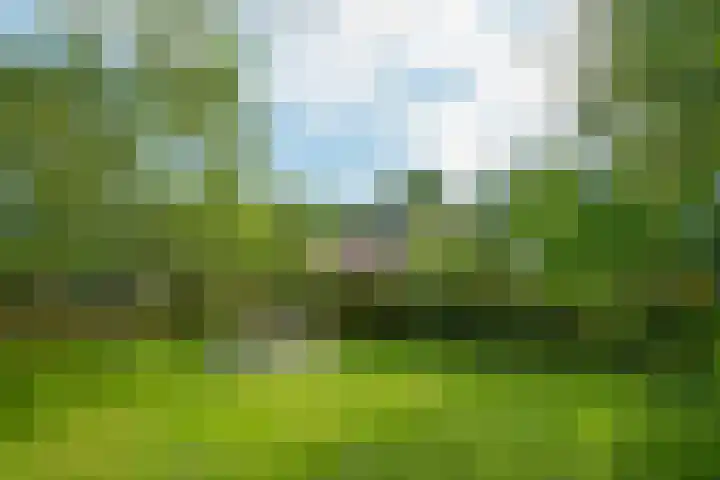 Miltseweg 3 Gendringen thumbnail 87
