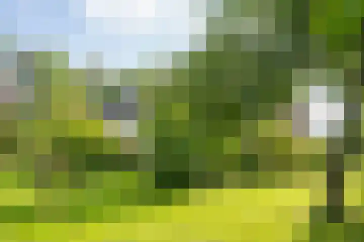 Miltseweg 3 Gendringen thumbnail 88