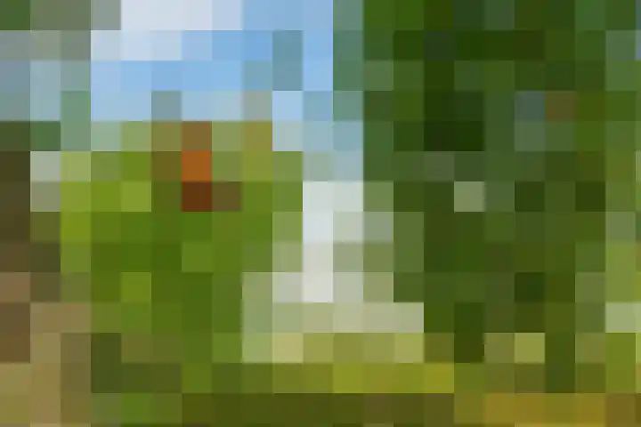 Miltseweg 3 Gendringen thumbnail 90