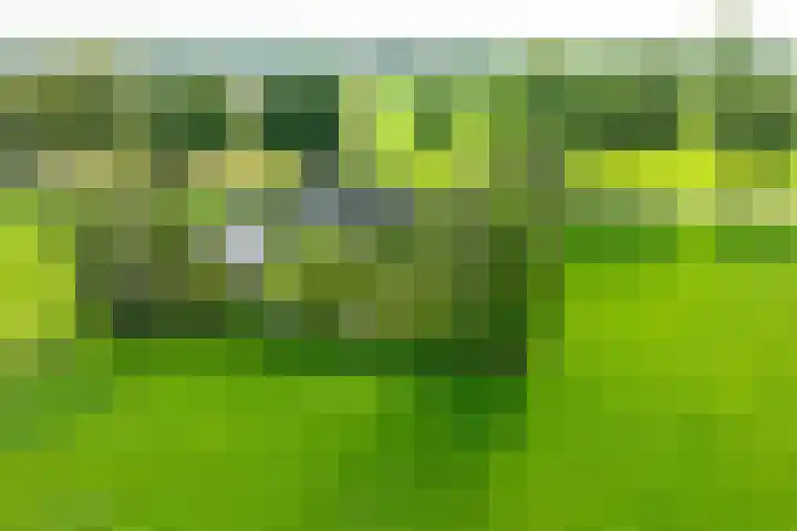 Miltseweg 3 Gendringen thumbnail 92