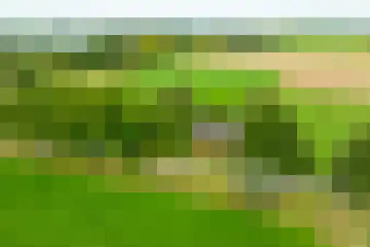 Miltseweg 3 Gendringen thumbnail 93