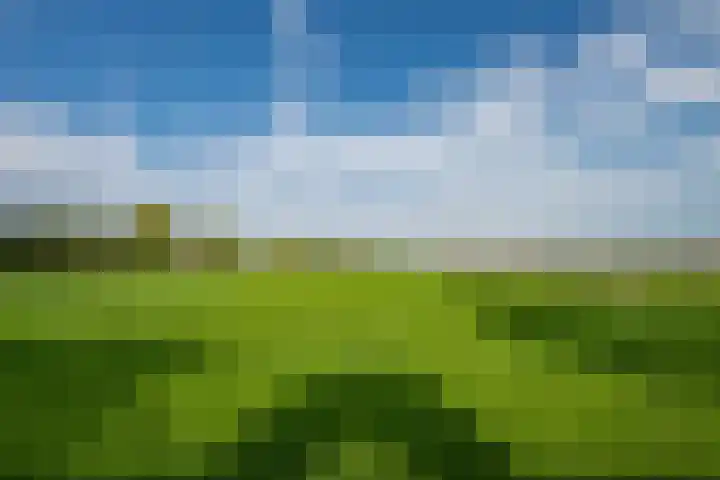 Miltseweg 3 Gendringen thumbnail 94