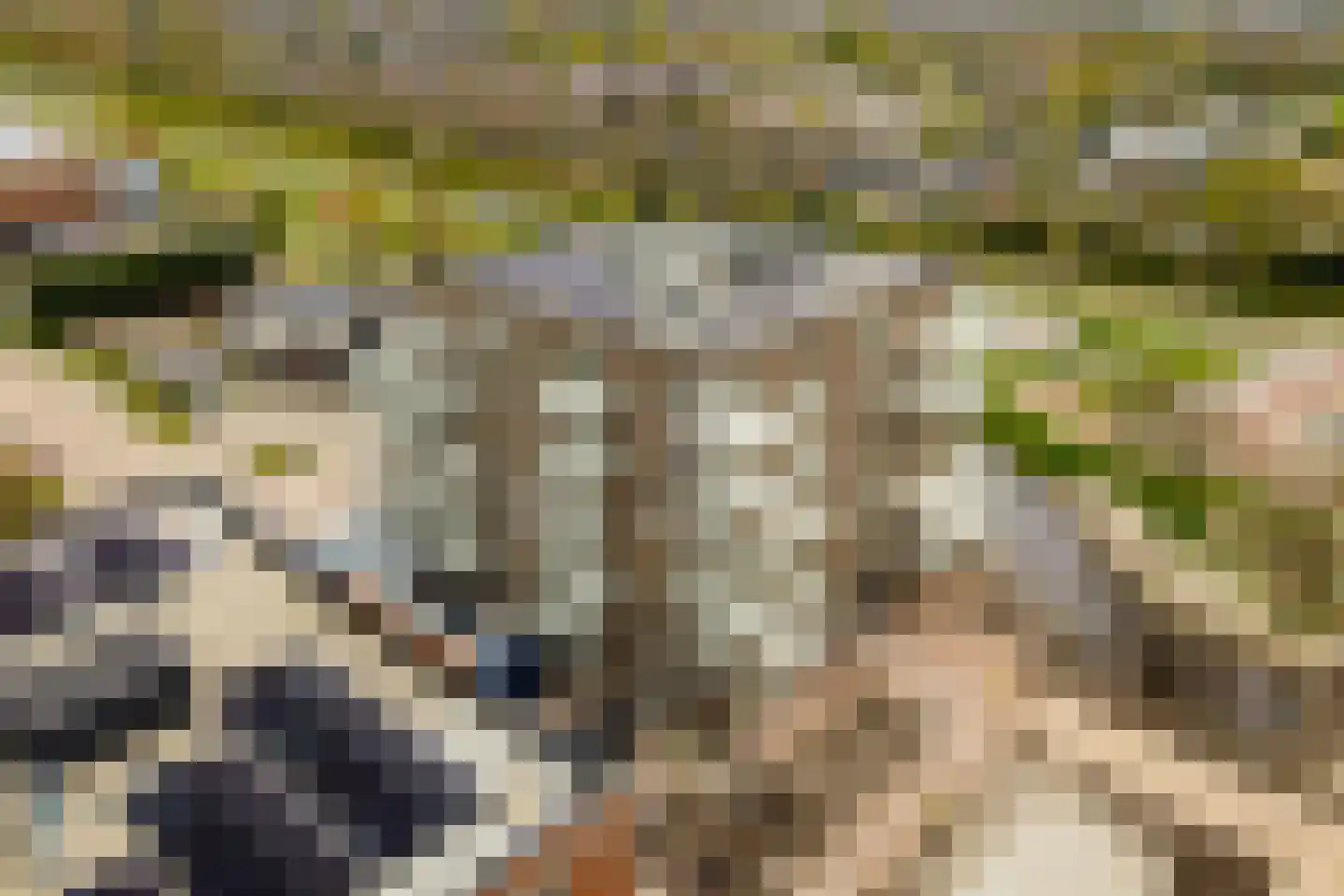 Mimas 24 Heerhugowaard thumbnail 12