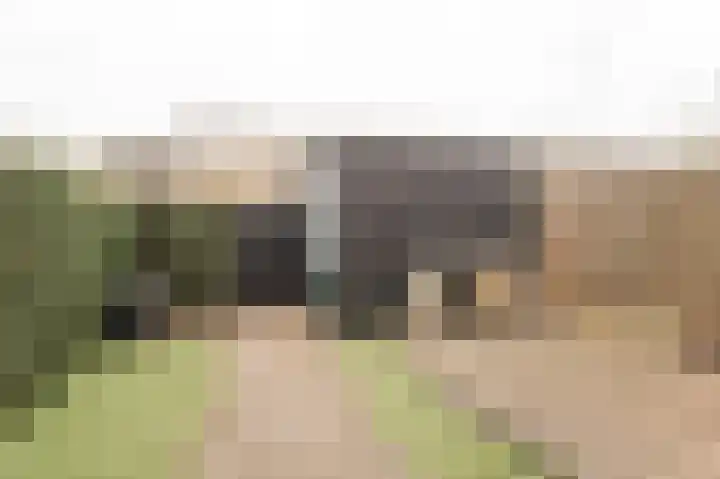 Mimaspad 2 Culemborg thumbnail 16