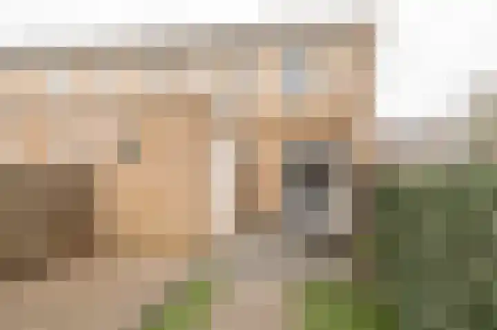 Mimaspad 2 Culemborg thumbnail 17