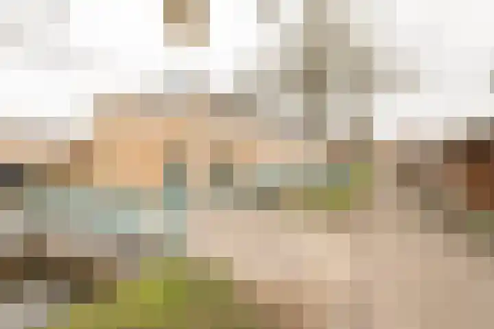 Mimaspad 2 Culemborg thumbnail 35