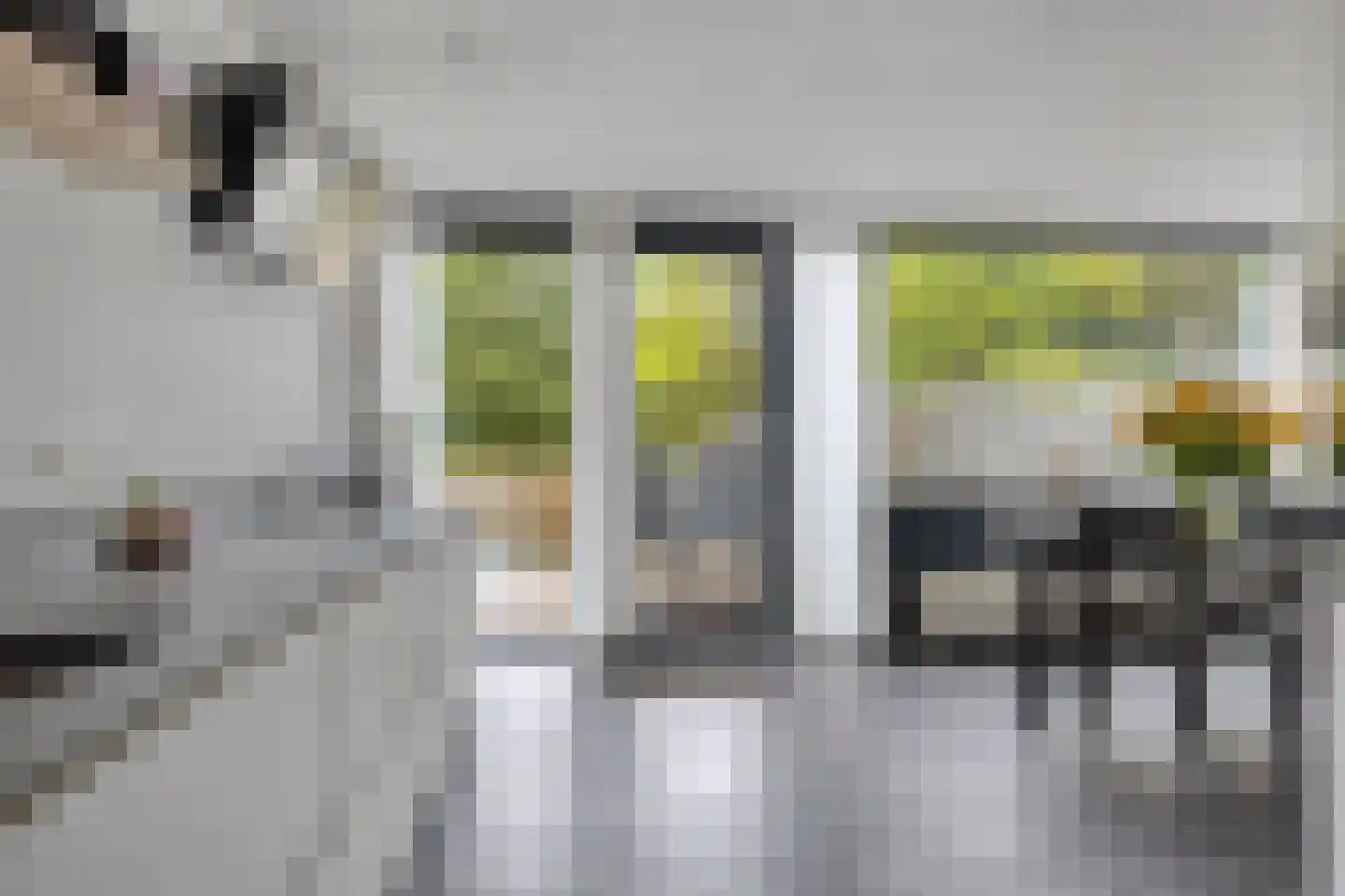 Mimi Boesnachhof 23 Heerhugowaard thumbnail 13