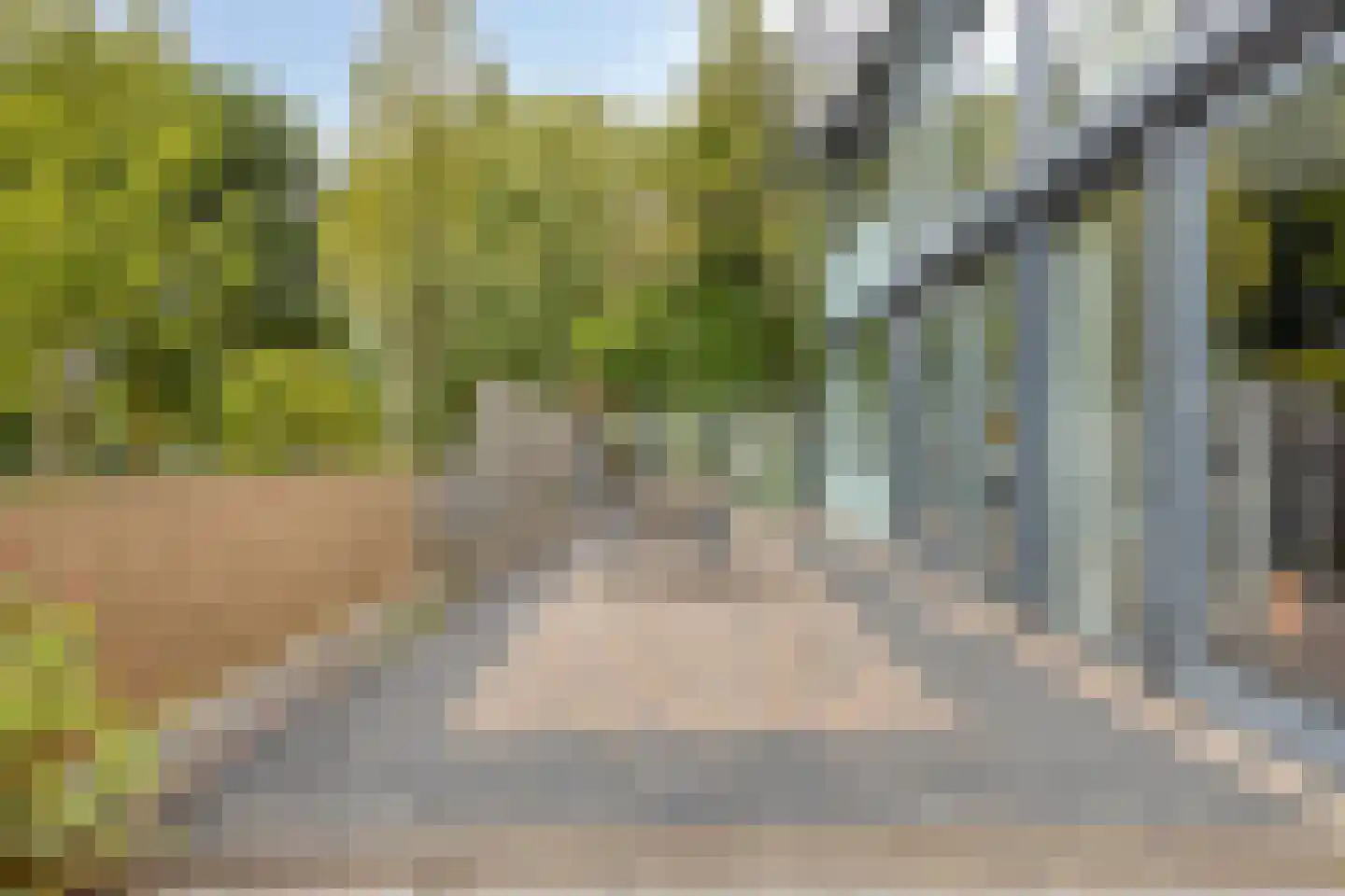 Mimi Boesnachhof 23 Heerhugowaard thumbnail 18