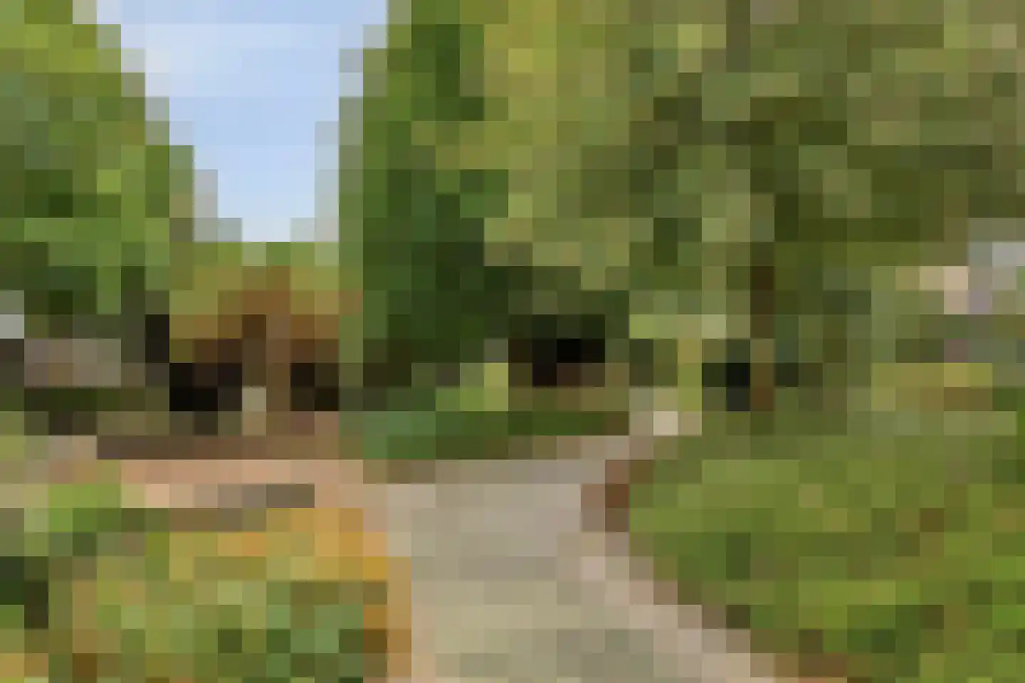 Mimi Boesnachhof 23 Heerhugowaard thumbnail 35
