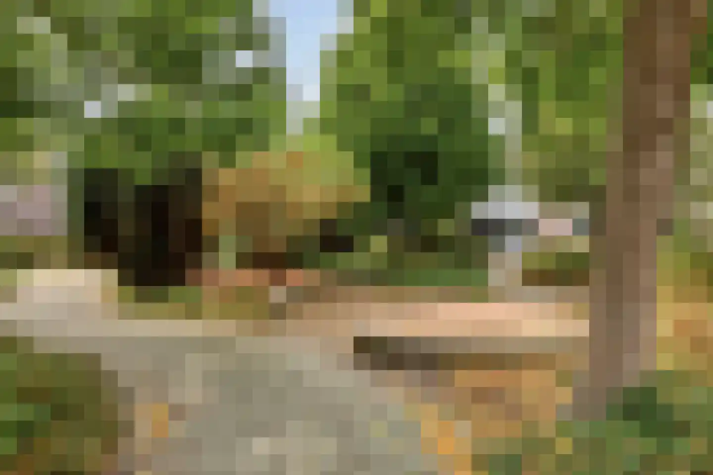 Mimi Boesnachhof 23 Heerhugowaard thumbnail 36
