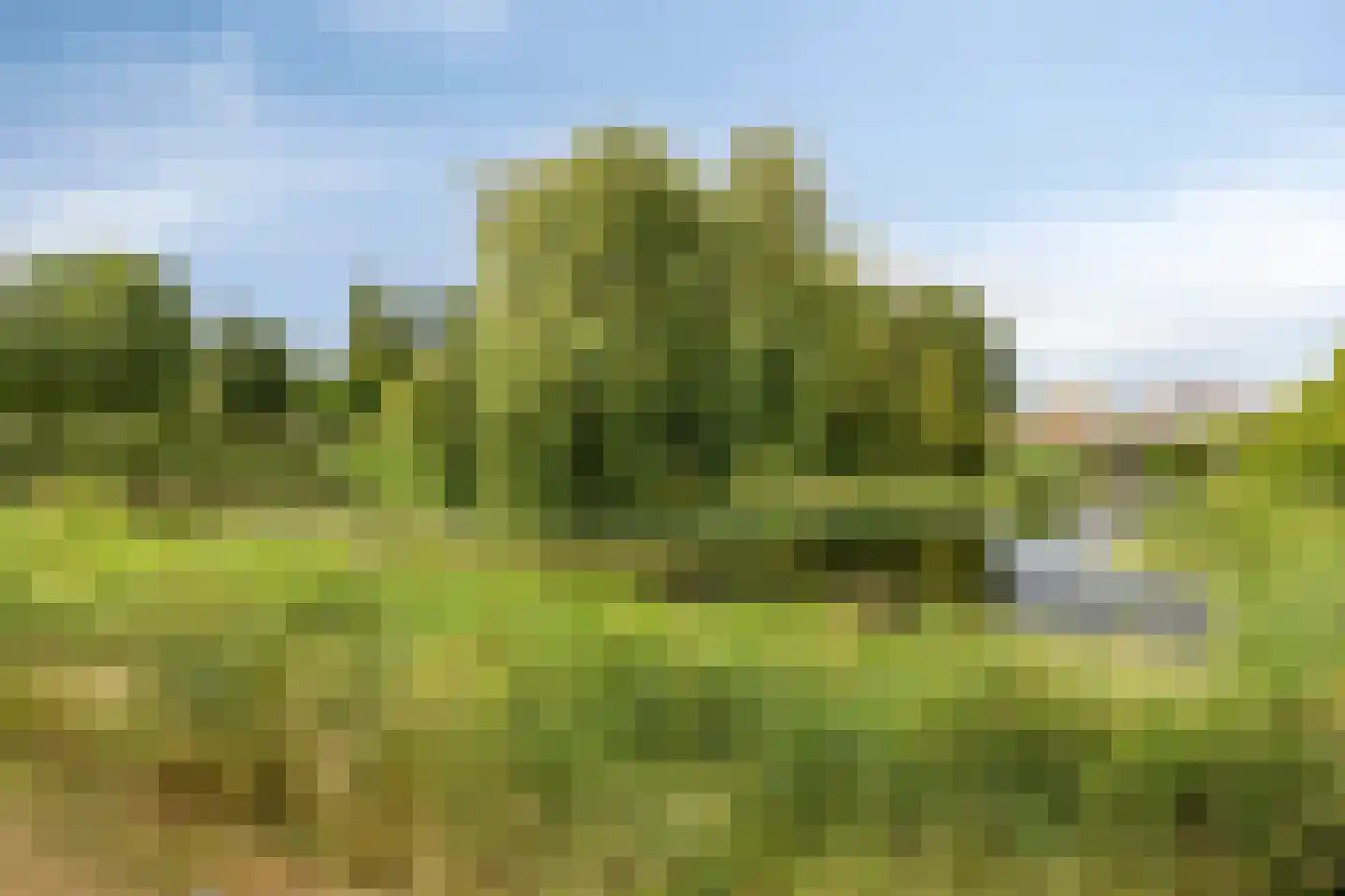 Mimi Boesnachhof 23 Heerhugowaard thumbnail 37
