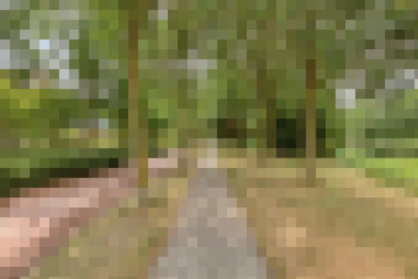 Mimi Boesnachhof 23 Heerhugowaard thumbnail 38
