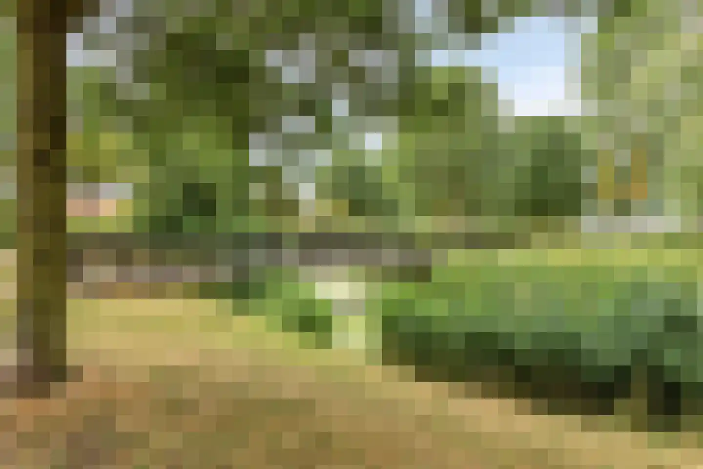 Mimi Boesnachhof 23 Heerhugowaard thumbnail 39