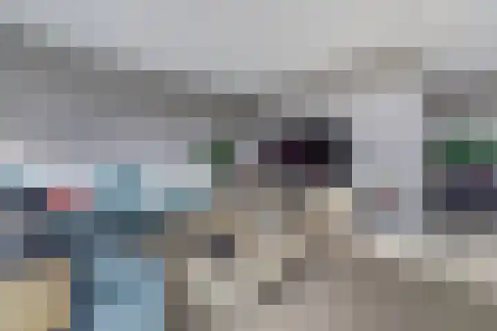 Mimi Boesnachstraat 10 Spijkenisse thumbnail 13