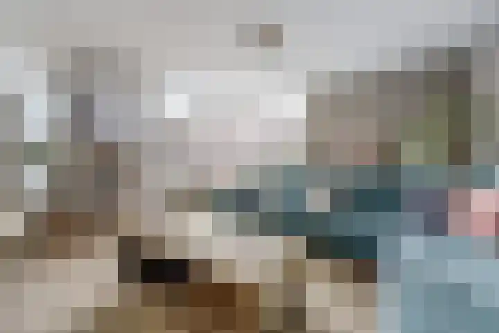 Mimi Boesnachstraat 10 Spijkenisse thumbnail 15