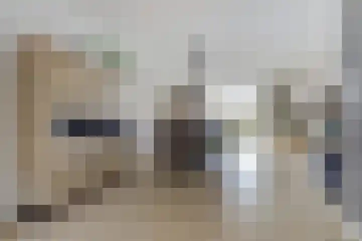 Mimi Boesnachstraat 10 Spijkenisse thumbnail 16