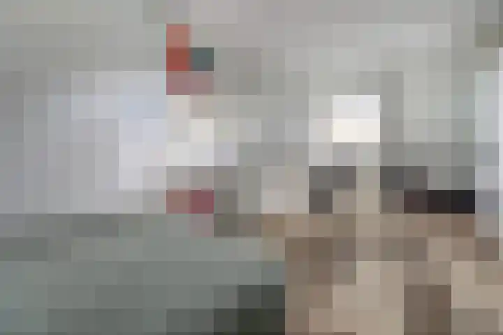 Mimi Boesnachstraat 10 Spijkenisse thumbnail 33
