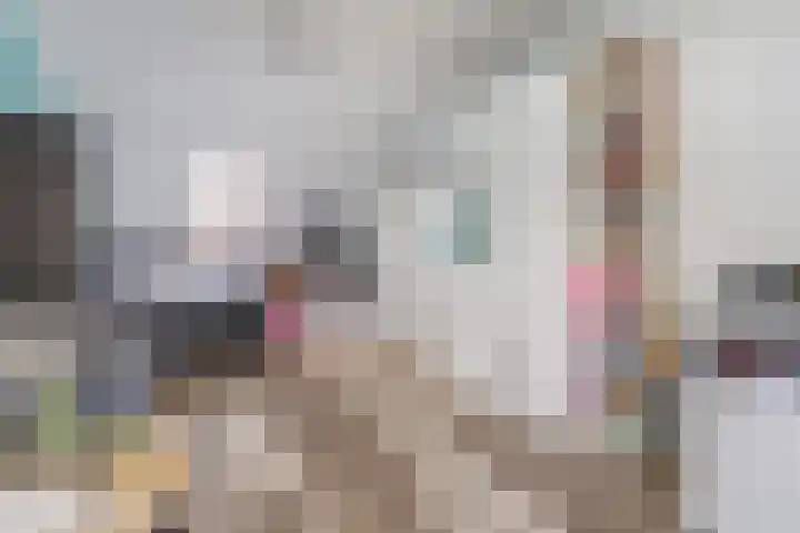 Mimi Boesnachstraat 10 Spijkenisse thumbnail 34