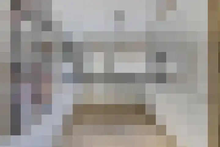 Mimi Boesnachstraat 10 Spijkenisse thumbnail 4
