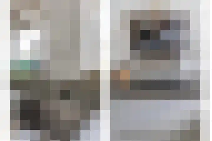 Mimi Boesnachstraat 10 Spijkenisse thumbnail 6