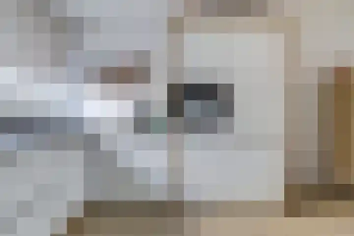 Mimi Boesnachstraat 10 Spijkenisse thumbnail 8