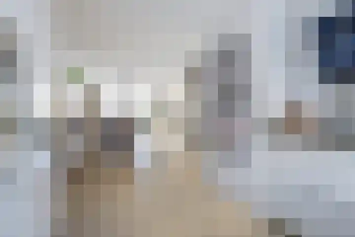 Mimi Boesnachstraat 10 Spijkenisse thumbnail 9