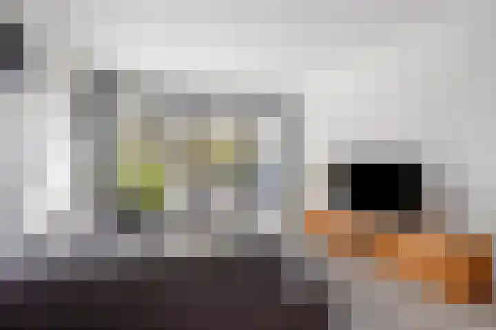 Mimosaplein 5 Purmerend thumbnail 10