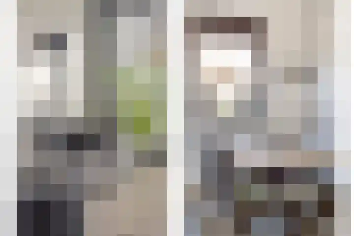 Mimosaplein 5 Purmerend thumbnail 12