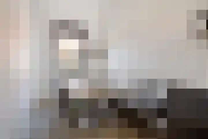 Mimosaplein 5 Purmerend thumbnail 16