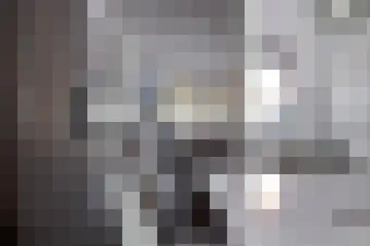 Mimosaplein 5 Purmerend thumbnail 17