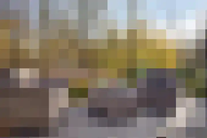 Mimosaplein 5 Purmerend thumbnail 24