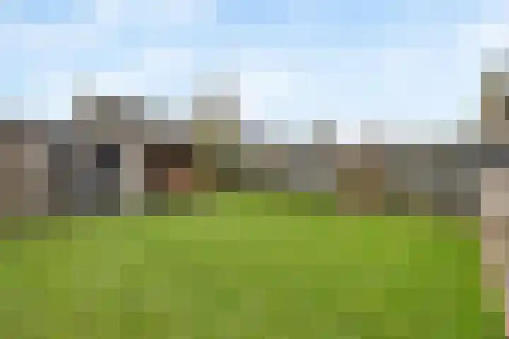 Mimosastraat 1 Almere thumbnail 27
