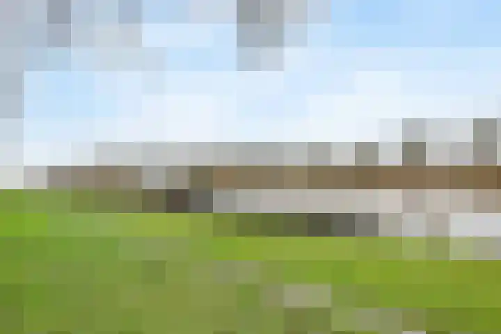 Mimosastraat 1 Almere thumbnail 30