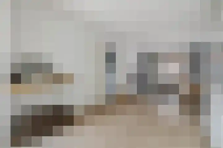 Mimosastraat 1 Breda thumbnail 11
