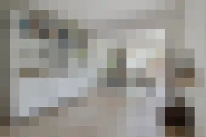 Mimosastraat 1 Breda thumbnail 14