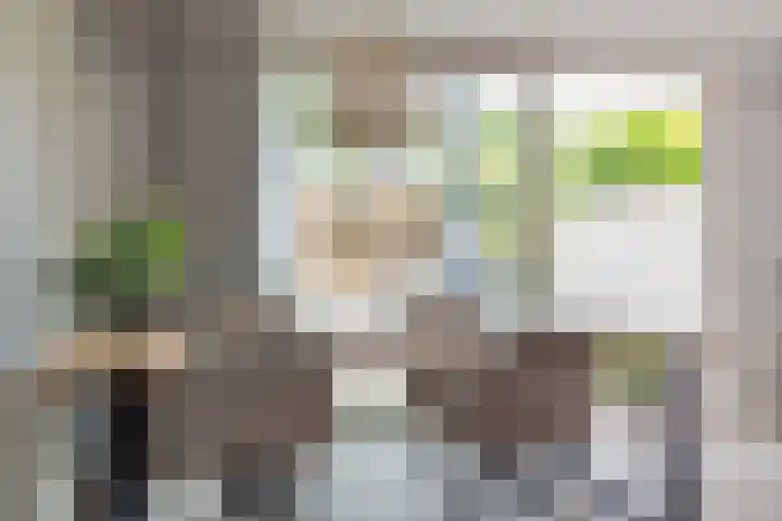 Mimosastraat 1 Breda thumbnail 15