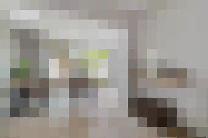 Mimosastraat 1 Breda thumbnail 16