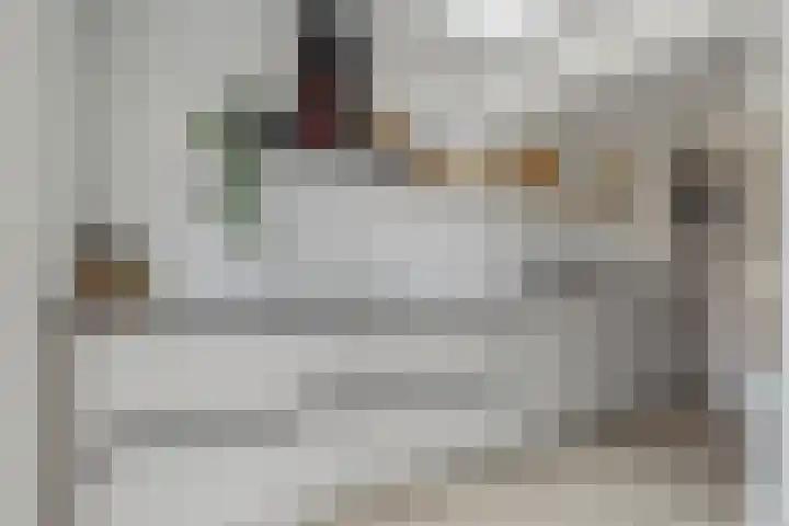 Mimosastraat 1 Breda thumbnail 20